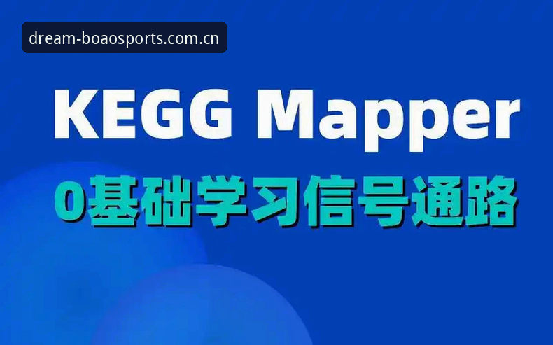 博澳体育平台极速安装全流程深度分析：从下载到体验的实战解读